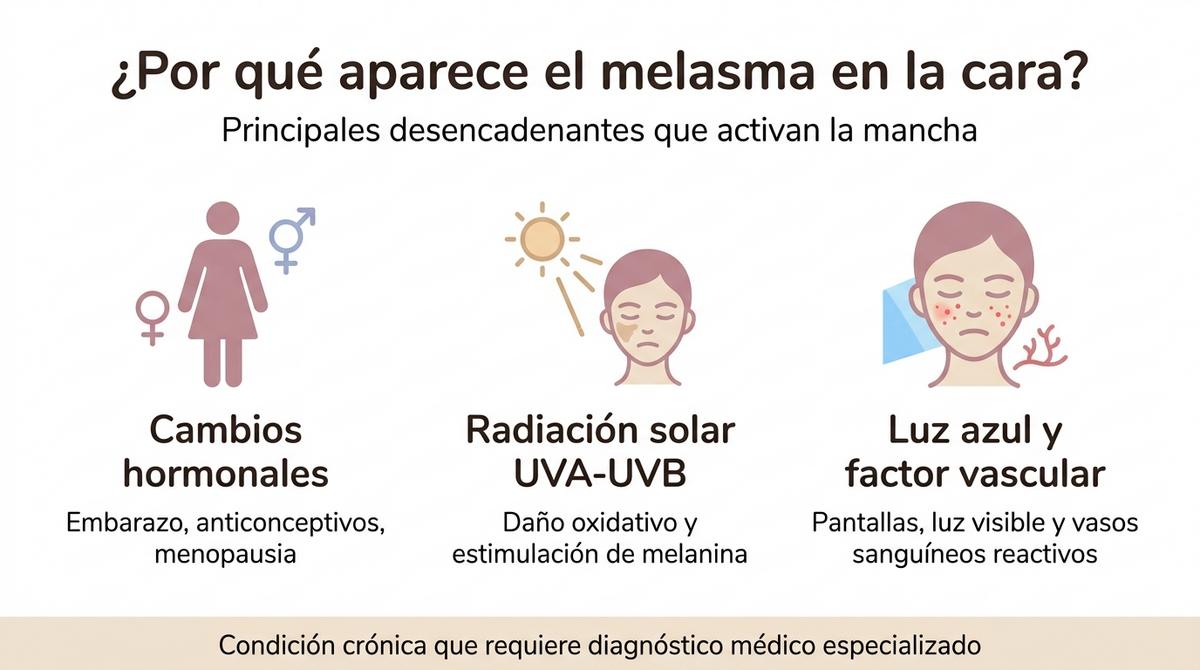 Esquema vectorial que muestra los principales desencadenantes del melasma en la cara.